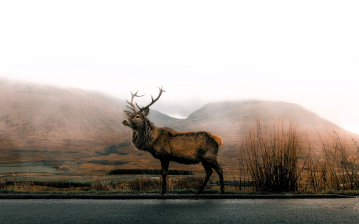 1756032 (a): :2560x1600